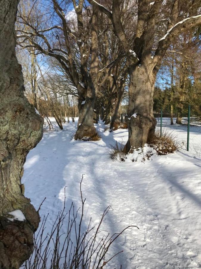 Seeblick Warin Exteriör bild